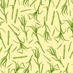 Sugar cane seamless pattern. Stems and leaves are an endless background. Vector illustration