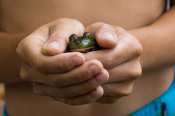 frog in hand