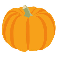 Large juicy orange pumpkin. Vector illustration. Autumn, agriculture, autumn holiday. Flat 