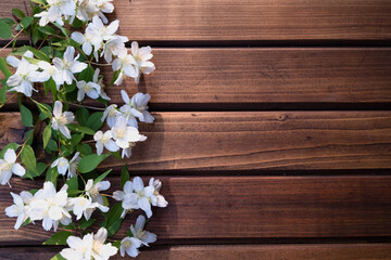Naklejka na ściany i meble Flowers on a wooden background. Petals of white flowers. 