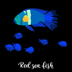 Colorful tropical fish of the Red Sea, Pacific and Indian Oceans, lives near corals.