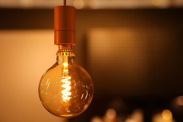 New generation incandescent lamp. Warm light in the interior, decorative cozy lamp.
