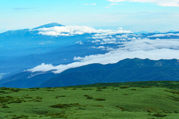 Naklejka premium 月山からみる鳥海山 8月