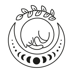 Cute cat and moon. Moon phases. Magical lunar symbol. Isolated vector black and white illustration