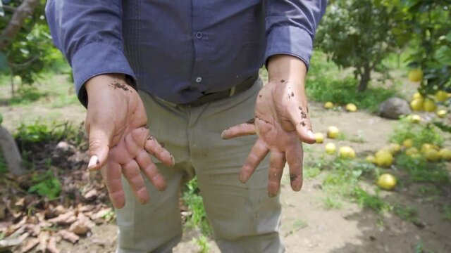 Man (farmer's) hands captured from above 