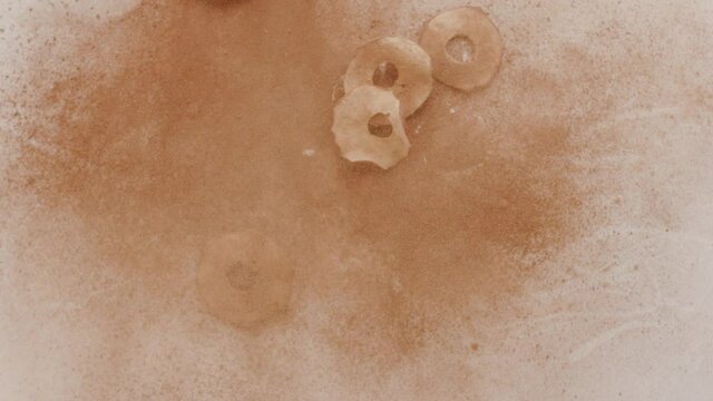 natural fruits Apple Chips jump adn fly with cinnamon creative commercial