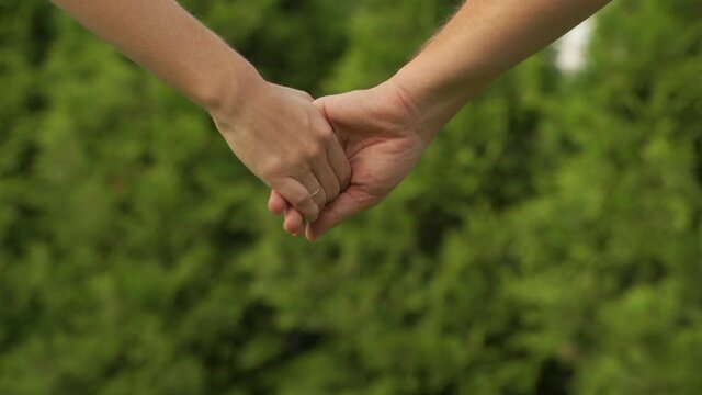 Close-up of two hands gently touching and holding each other. cute concept of the relationship between a man and a woman on the background of a green garden