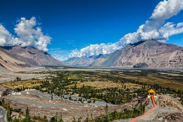 Nubra valley in Himalayas. Ladakh, India