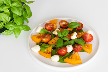 Tomato, basil, mozzarella Caprese salad with balsamic vinegar.