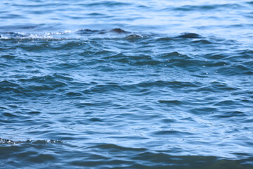 the sea close-up. water texture. water surface with waves