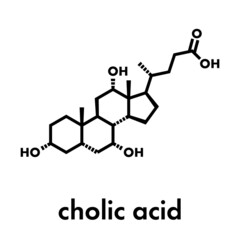 Cholic acid (cholate) molecule. Main bile acid component. Skeletal formula.