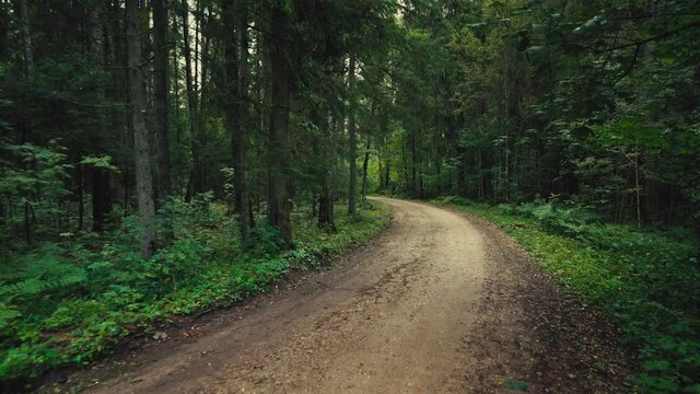 Walk along a forest dirt road in the Gauja National Park. There is a post on the side of the road with a signpost for the walking route. Popular place for outdoor activities in Latvia