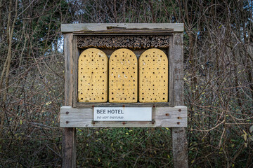 Hotel shelter for bees, made of wood