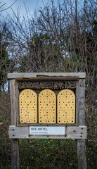 Hotel shelter for bees, made of wood