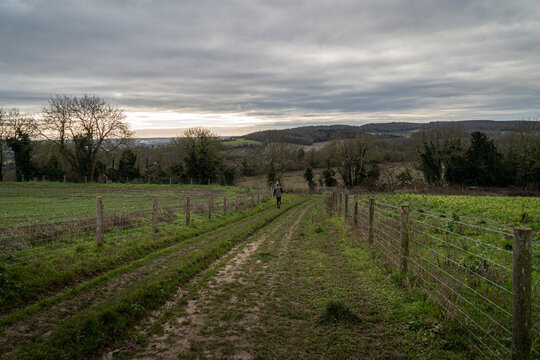 A Man Walking His Dog Along A Track In The Kent Countryside, UK