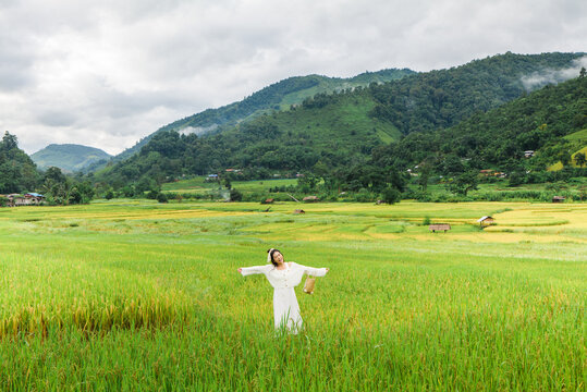 Females,asian And Indian Ethnicities,25-29 Years,nature,plant,landscape - Scenery,mountain,rice Paddy,farm,travel,no People,environment,land,valley,plantation,terraced Field,rural Scene,rice Terrace
