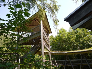 Bereich der Wildfütterung in der Nähe des Hintersees