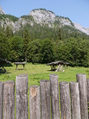 Bereich der Wildfütterung in der Nähe des Hintersees