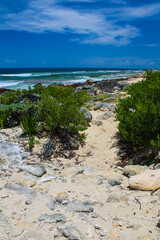 Coast of Cozumel, Mexico on the east side