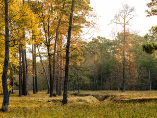 Fototapeta na wymiar A creek running through a landscape in late autumn.
