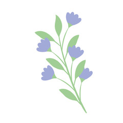 Fototapeta na wymiar lilac flowers branch