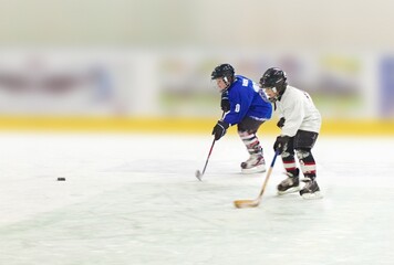 Young Children Playing Hockey on Ice