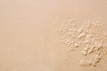 Brown wall damp damaged with peeling paint