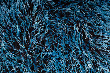Close up of blue pile threads. Texture of yarn in macro.