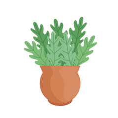 houseplant in orange pot