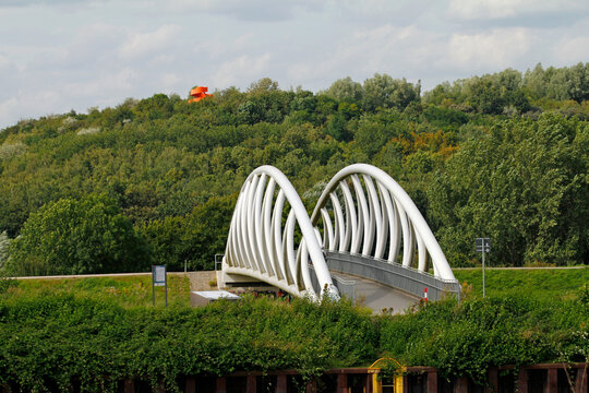 bridges at the hamm marina 