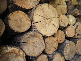 Preparation of firewood for the winter. A pile of chopped firewood. Wooden background.