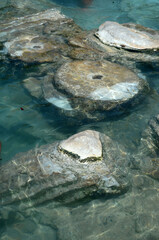 Ruins of ancient column and construction blocks of antique city Hierapolis, in Pamukkale, Turkey under water.