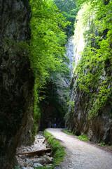 Summer alpine landscape in Zarnesti Gorges, Piatra Craiului Mountains, Romania, Europe