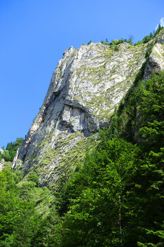 Summer alpine landscape in Zarnesti Gorges, Piatra Craiului Mountains, Romania, Europe