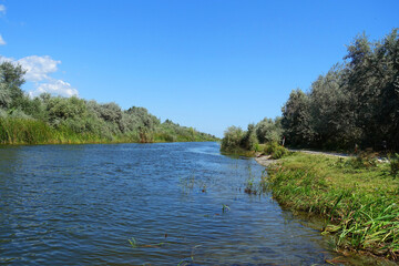 Water channel in Danube Delta, Sulina, Romania