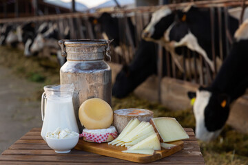 Aluminum can and glass decanter with milk, fresh curd and various cheeses on table standing in...