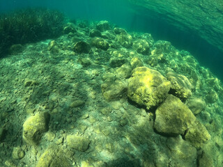 Underwater world of Mediterranean Sea. Near Marmaris, Turkey