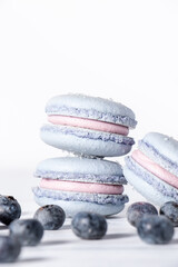 Fototapeta na wymiar Blueberry french macaron cookies with blueberry buttercream filling and fresh blueberries