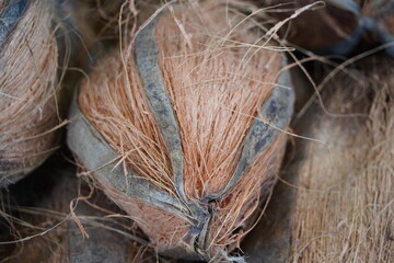 Pile of coconuts in the food market of India. Group of small whole fresh brown coconuts on retail market, close up, high angle view. Heap of many coconuts in organic farm. Coconuts in Indian market.