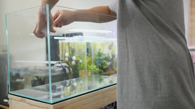 Set up Aquarium tank at home with first step of strew or sprinkle powder of good bacteria to bottom of the tank.