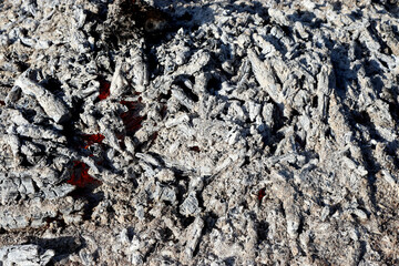 Fire and ash, ash cools down