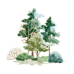 Forest landscape scene. Watercolor illustration. Hand drawn trees, bush and meadow grass element. Wild landscape. Park or forest nature with trees, bushes and grass. White background