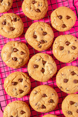 Homemade chocolate chip cookies cooling on a wire rack on a bright pink background