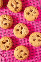 Homemade chocolate chip cookies cooling on a wire rack on a bright pink background