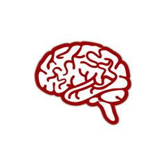 Brain vector. Brain icon isolated on white background from health and protection collection. Brain icon simple sign. Brain icon thin line outline linear brain symbol for logo, web, app, UI.