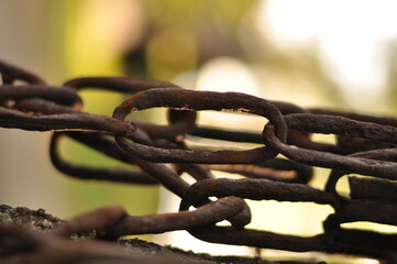 rusty chain link