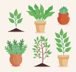 six planting plants