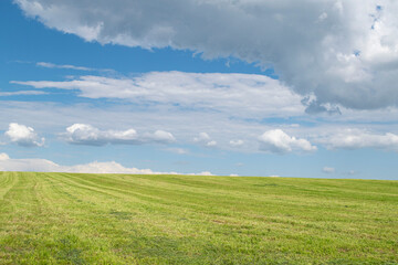 Summer landscape. Field and sky. Horizon