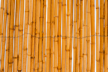 background of bamboo