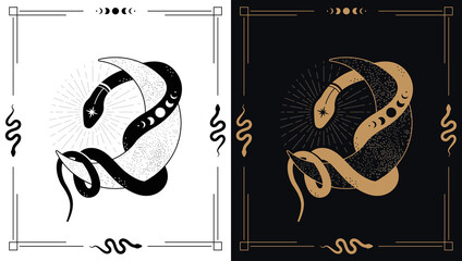 Magic snake wraps around crescent. Mystical illustration in a trendy style in 2 various.  © olimpvector
